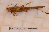  ( - ANVA-0021)  @11 [ ] CreativeCommons - Attribution Non-Commercial Share-Alike (2018) Heikki Roininen University of Eastern Finland