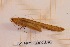  ( - ANVA-0028)  @11 [ ] CreativeCommons - Attribution Non-Commercial Share-Alike (2018) Heikki Roininen University of Eastern Finland