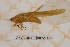  ( - ANVA-0034)  @11 [ ] CreativeCommons - Attribution Non-Commercial Share-Alike (2018) Heikki Roininen University of Eastern Finland