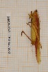  ( - ANVA-0043)  @11 [ ] CreativeCommons - Attribution Non-Commercial Share-Alike (2018) Heikki Roininen University of Eastern Finland