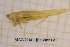 ( - ANVA-0048)  @11 [ ] CreativeCommons - Attribution Non-Commercial Share-Alike (2018) Heikki Roininen University of Eastern Finland