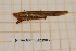  ( - ANVA-0064)  @11 [ ] CreativeCommons - Attribution Non-Commercial Share-Alike (2018) Heikki Roininen University of Eastern Finland