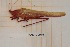  ( - ANVA-0079)  @11 [ ] CreativeCommons - Attribution Non-Commercial Share-Alike (2018) Heikki Roininen University of Eastern Finland