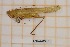  ( - ANVA-0087)  @11 [ ] CreativeCommons - Attribution Non-Commercial Share-Alike (2018) Heikki Roininen University of Eastern Finland