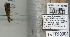 ( - TVTRI0004)  @12 [ ] Unspecified (default): All Rights Reserved  Unspecified Unspecified