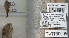  ( - TVTRI0005)  @12 [ ] Unspecified (default): All Rights Reserved  Unspecified Unspecified