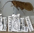  ( - TVTRI0106)  @12 [ ] Unspecified (default): All Rights Reserved  Unspecified Unspecified
