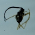  ( - TVTRI0124)  @12 [ ] Unspecified (default): All Rights Reserved  Unspecified Unspecified