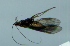  ( - TVTRI0267)  @12 [ ] Unspecified (default): All Rights Reserved  Unspecified Unspecified