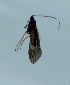  ( - TVTRI0302)  @12 [ ] Unspecified (default): All Rights Reserved  Unspecified Unspecified