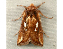  ( - RWWA-0005)  @12 [ ] Copyright (2010) Unspecified Unspecified