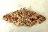  ( - RWWA-0099)  @13 [ ] Copyright (2010) Unspecified Unspecified