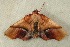  ( - RWWA-0138)  @14 [ ] Copyright (2010) Unspecified Unspecified