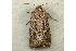  ( - RWWA-0172)  @13 [ ] Copyright (2010) Unspecified Unspecified