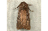  ( - RWWA-0180)  @13 [ ] Copyright (2010) Unspecified Unspecified