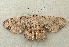  ( - RWWA-0263)  @13 [ ] Copyright (2010) Unspecified Unspecified