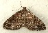  ( - RWWA-0277)  @14 [ ] Copyright (2010) Unspecified Unspecified
