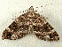  ( - RWWA-0283)  @14 [ ] Copyright (2010) Unspecified Unspecified