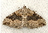  ( - RWWA-0284)  @13 [ ] Copyright (2010) Unspecified Unspecified