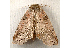  ( - RWWA-0316)  @14 [ ] Copyright (2010) Unspecified Unspecified
