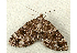  ( - RWWA-0324)  @14 [ ] Copyright (2010) Unspecified Unspecified