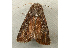  ( - RWWA-0410)  @14 [ ] Copyright (2010) Unspecified Unspecified