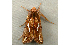  ( - RWWA-0436)  @12 [ ] Copyright (2010) Unspecified Unspecified