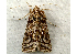  ( - RWWA-0478)  @13 [ ] Copyright (2010) Unspecified Unspecified