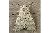  ( - RWWA-0721)  @12 [ ] Copyright (2010) Unspecified Unspecified