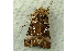  ( - RWWA-0731)  @12 [ ] Copyright (2010) Unspecified Unspecified