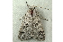  ( - RWWA-0763)  @13 [ ] Copyright (2010) Unspecified Unspecified