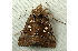  ( - RWWA-0766)  @12 [ ] Copyright (2010) Unspecified Unspecified