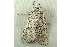  ( - RWWA-0789)  @12 [ ] Copyright (2010) Unspecified Unspecified