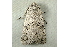 ( - RWWA-0813)  @12 [ ] Copyright (2010) Unspecified Unspecified