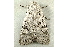  ( - RWWA-0816)  @13 [ ] Copyright (2010) Unspecified Unspecified