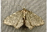  ( - RWWA-0822)  @13 [ ] Copyright (2010) Unspecified Unspecified