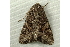  ( - RWWA-0836)  @13 [ ] Copyright (2010) Unspecified Unspecified
