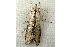  ( - RWWA-0847)  @12 [ ] Copyright (2010) Unspecified Unspecified