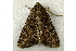  ( - RWWA-0856)  @13 [ ] Copyright (2010) Unspecified Unspecified
