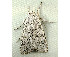  ( - RWWA-0908)  @12 [ ] Copyright (2010) Unspecified Unspecified