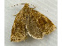  ( - RWWA-0926)  @12 [ ] Copyright (2010) Unspecified Unspecified
