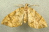  ( - RWWA-0934)  @13 [ ] Copyright (2010) Unspecified Unspecified