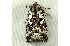  ( - RWWA-0978)  @12 [ ] Copyright (2010) Unspecified Unspecified