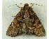  ( - RWWA-0990)  @14 [ ] Copyright (2010) Unspecified Unspecified