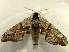  ( - RWWA-1837)  @14 [ ] CreativeCommons - Attribution Non-Commercial Share-Alike (2010) Richard Wilson Unspecified