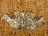  ( - RWWA-1875)  @13 [ ] CreativeCommons - Attribution Non-Commercial Share-Alike (2010) Richard Wilson Unspecified
