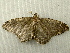  ( - RWWA-1878)  @13 [ ] CreativeCommons - Attribution Non-Commercial Share-Alike (2010) Richard Wilson Unspecified