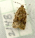  ( - RWWA-1887)  @12 [ ] CreativeCommons - Attribution Non-Commercial Share-Alike (2010) Richard Wilson Unspecified