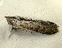  ( - RWWA-1936)  @12 [ ] CreativeCommons - Attribution Non-Commercial Share-Alike (2010) Richard Wilson Unspecified