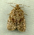  ( - RWWA-1956)  @12 [ ] CreativeCommons - Attribution Non-Commercial Share-Alike (2010) Richard Wilson Unspecified